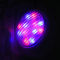 Luz colorida de vidro da associação da nadada 72W do bulbo RGBW