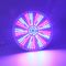 RGB AC230V multicolorido 35W Pentair Hayward Light Fixture